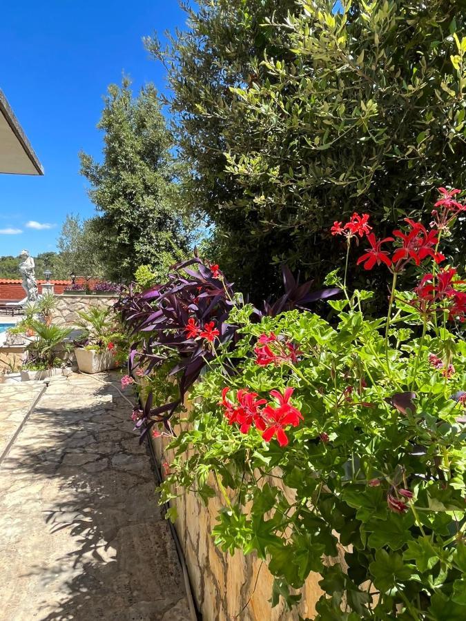 Gorana Studio Apartment Jelsa  Dış mekan fotoğraf
