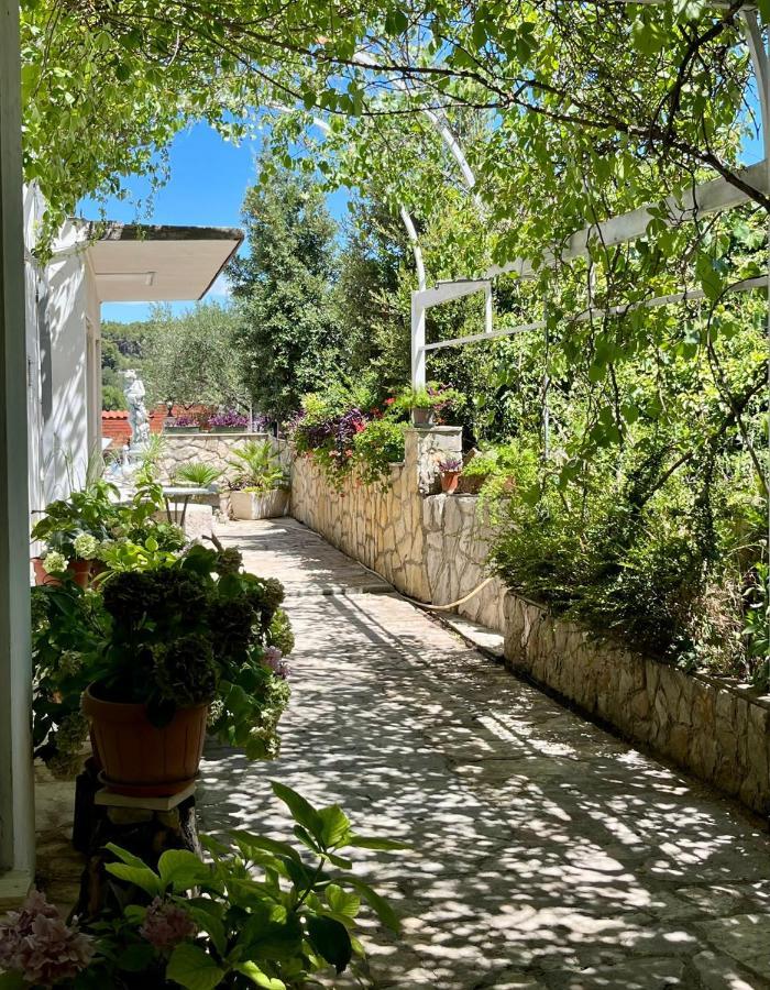 Gorana Studio Apartment Jelsa  Dış mekan fotoğraf